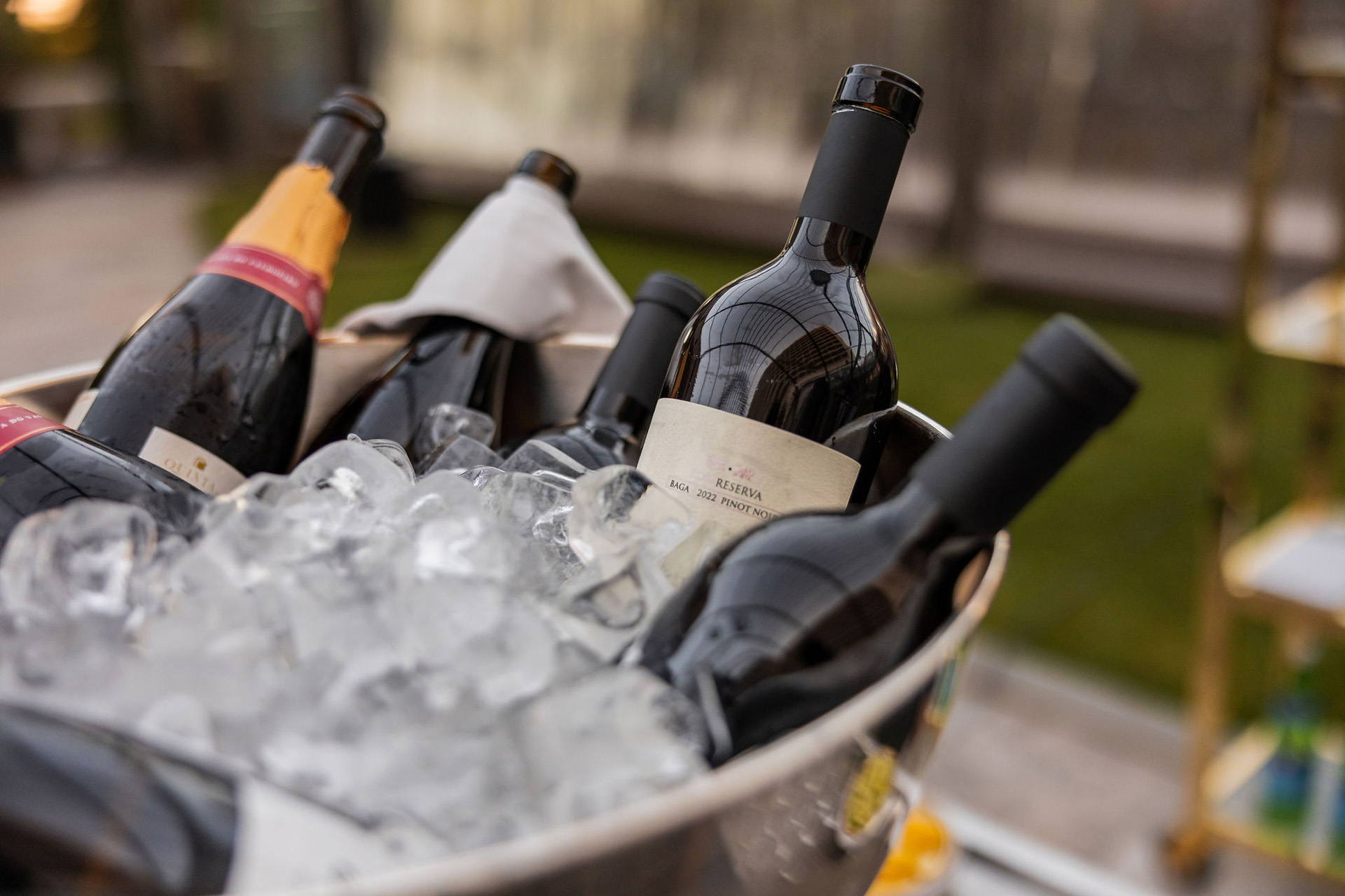 <a class='button-link' download href='http://ecao.joeyai.cloud/wp-content/uploads/2025/02/ECAOLisbon24-arrivaldinnerandcocktail-51.jpg'>Download</a>